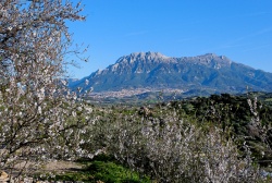 Bergwandern auf Sardinien: Supramonte mit Mandelblüte